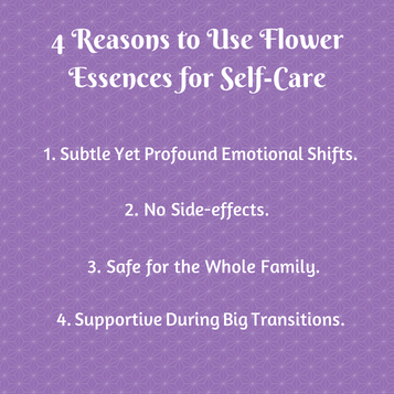 Why Take Flower Essences