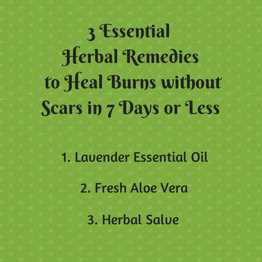Heal Burns with Herbal Remedies