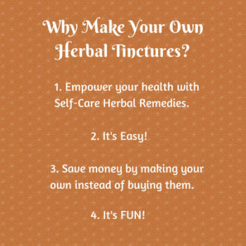 Why Make an Herbal Tincture at Home