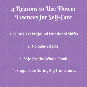 why use flower essences