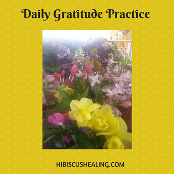 Daily Gratitude Practice